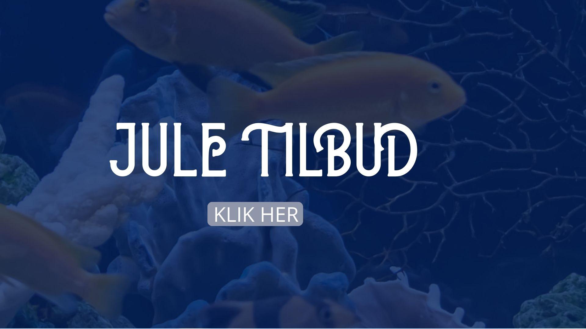 Tilbud
