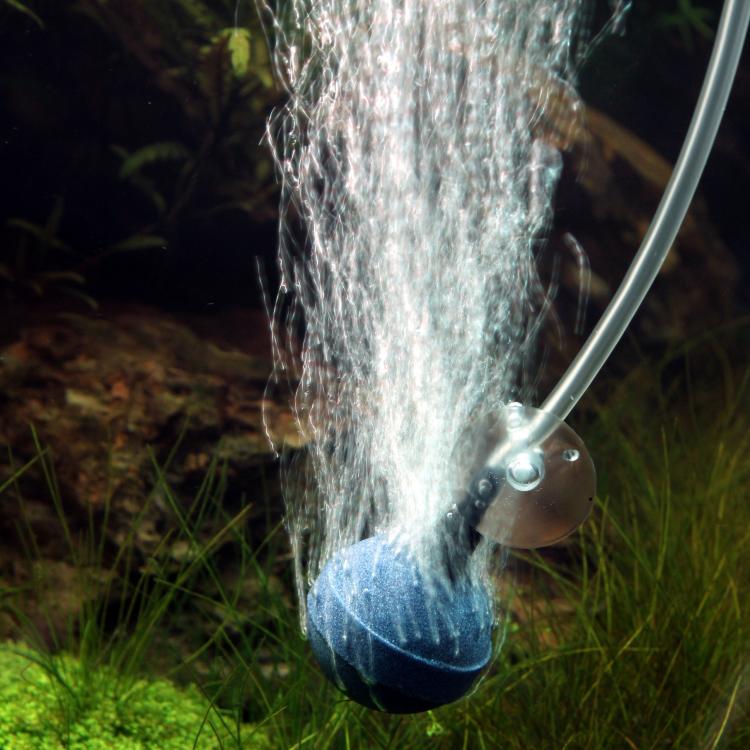 Blå rund luftensten fra JBL til akvarier og havedamme, 40 mm diameter.