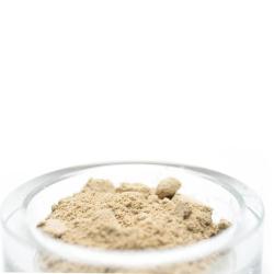 Pulverfoder til babyrejer – Shrimps Forever Baby sikrer optimal vækst og overlevelse