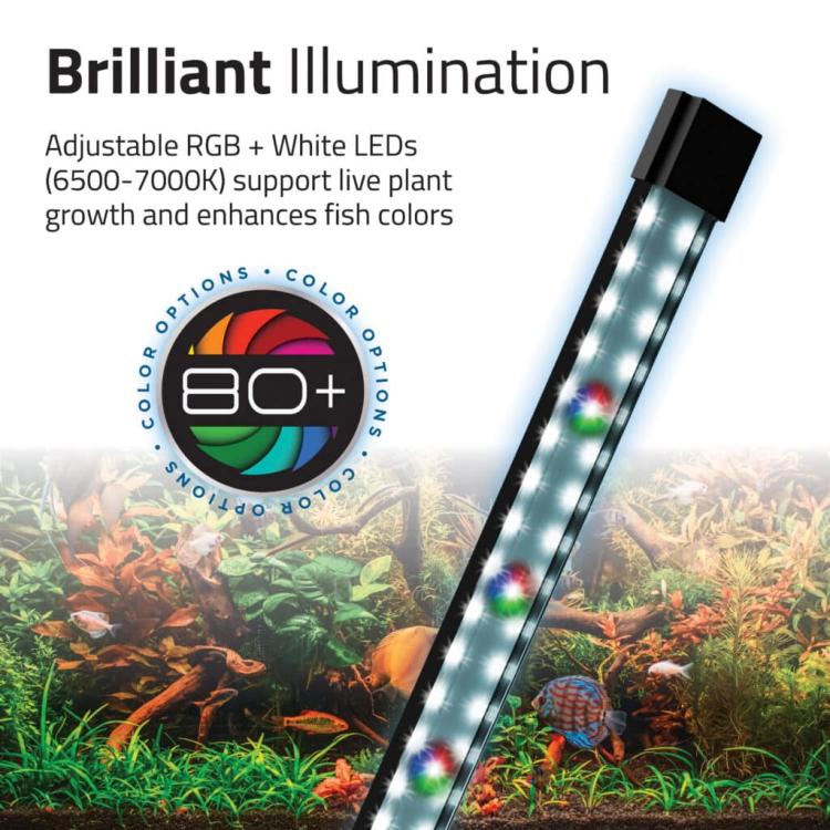 Flex 2.0 akvarium 57L med LED lys der fremhæver fisk og planter