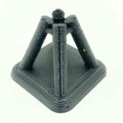 Rejer samles om godbid på shrimp lolly holder