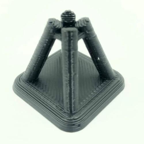 Rejer samles om godbid på shrimp lolly holder