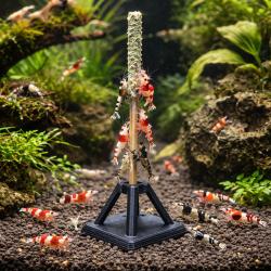 Stabil holder til godbidder i rejeakvarium