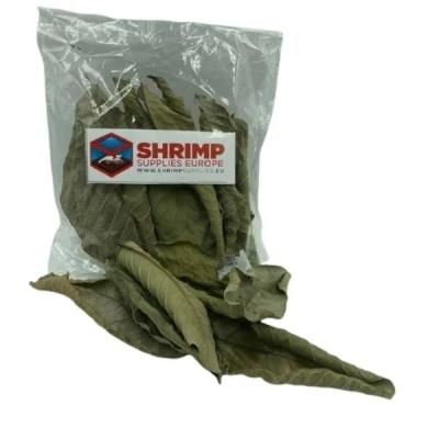 Blade og Naturprodukter