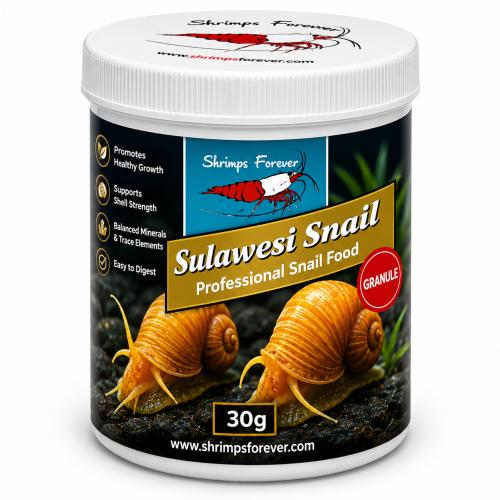 Sneglefoder til Sulawesi snegle