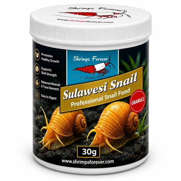 Sneglefoder til Sulawesi snegle