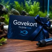 Gavekort til akvarieentusiaster fra tildinfisk.dk