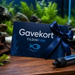 Gavekort til akvarieentusiaster fra tildinfisk.dk