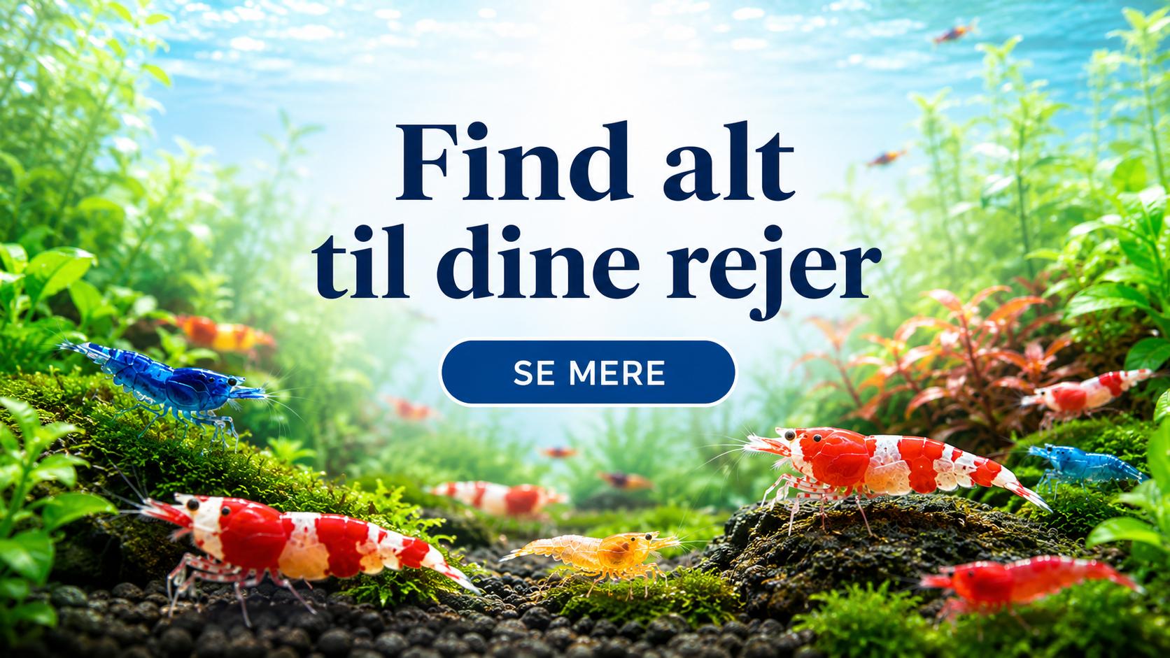 Alt til dine rejer