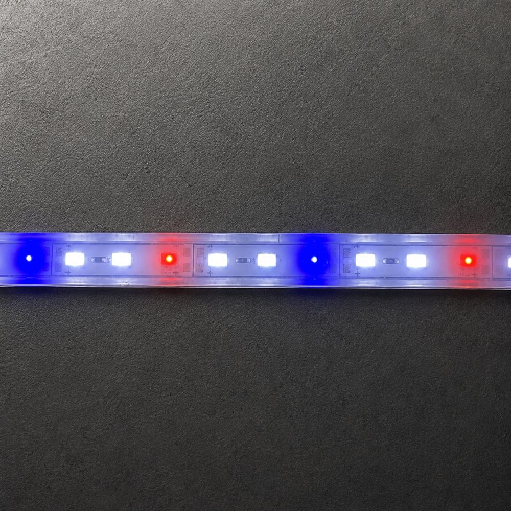 LED-akvariebelysning med røde og blå lysdioder imod en grå baggrund, ideel til fremhævelse af akvarieplanternes og fiskens farver.