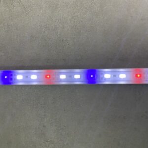 Aqualight LED hvid, blå og rød