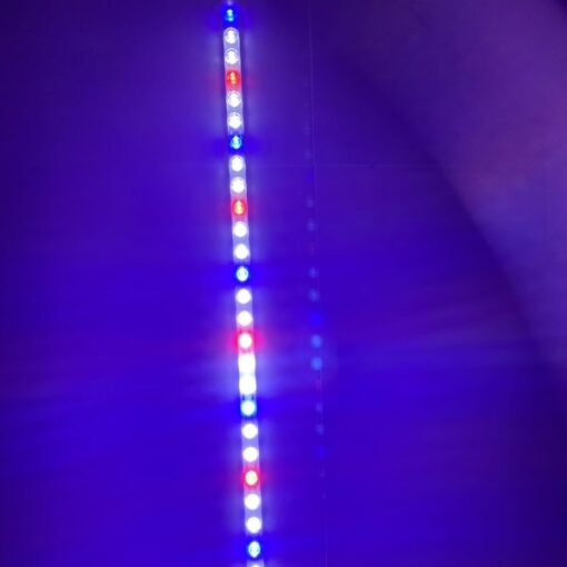 Aqualight LED LYS med ekstra kraftige dioder