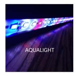 Aqualight
